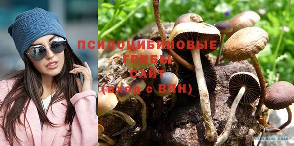 мяу мяу мука Абаза