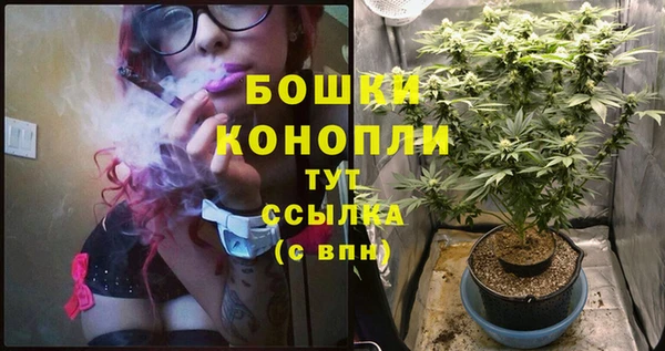 2c-b Абинск