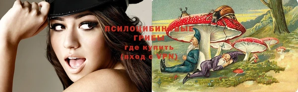 ГАЛЛЮЦИНОГЕННЫЕ ГРИБЫ Алексин