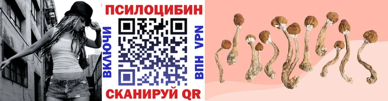 Галлюциногенные грибы мицелий  Сертолово 