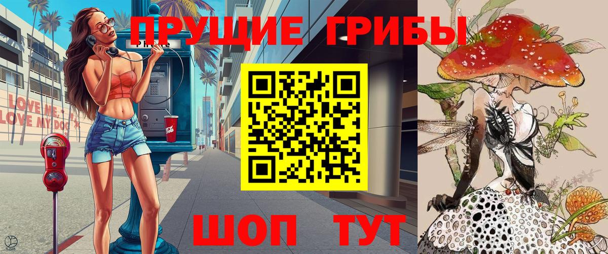 Сертолово  Псилоцибиновые грибы Psilocybine cubensis  как найти наркотики  Вход с VPN  Псилоцибиновые грибы мицелий 